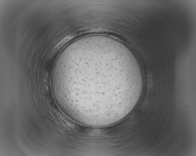 X0000085071265200703261222