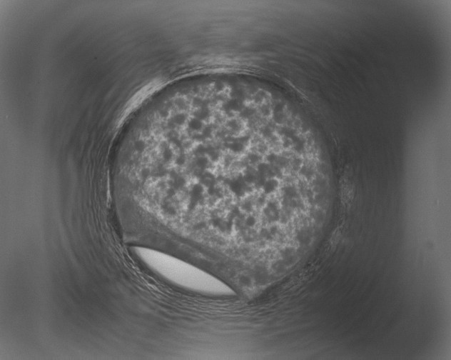 X0000085071267200703261222