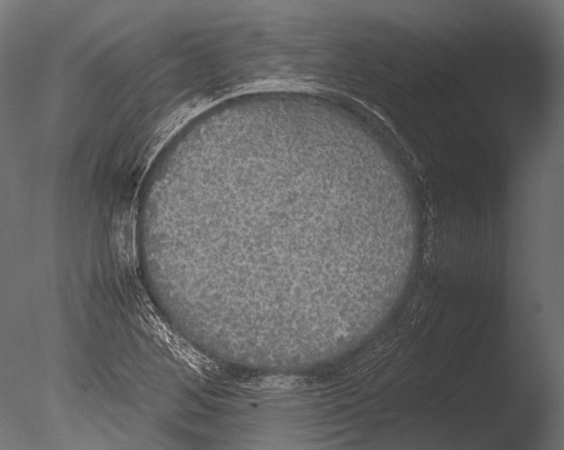 X0000085071268200703261222