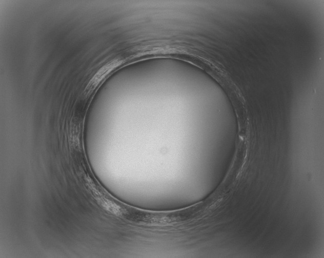 X0000085071273200703261222