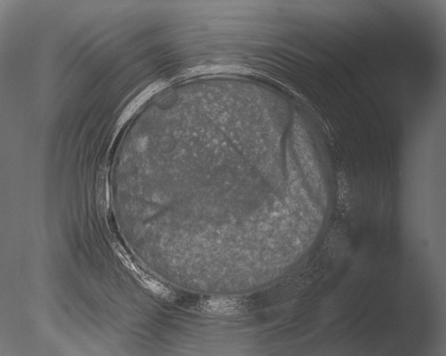 X0000085071274200703261222