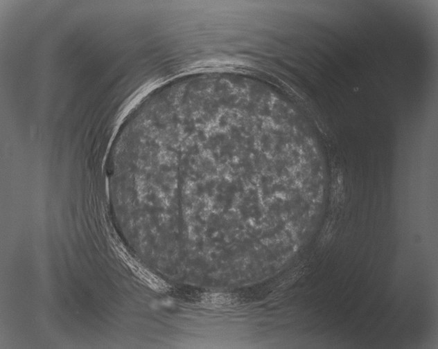 X0000085071275200703261222