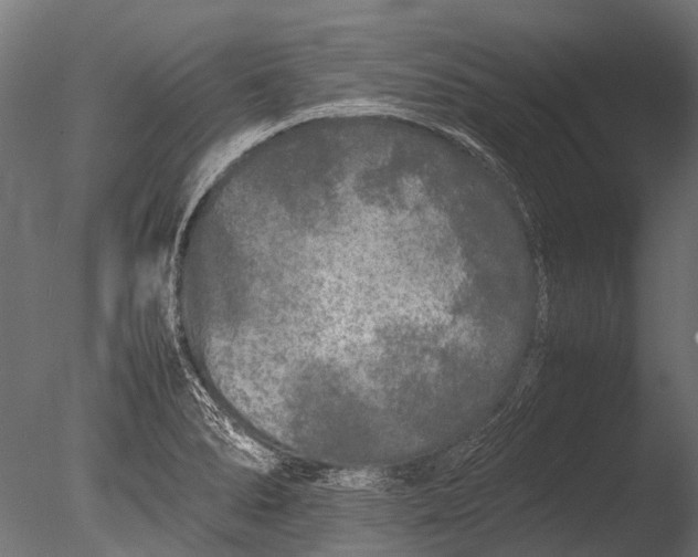 X0000085071278200703261222