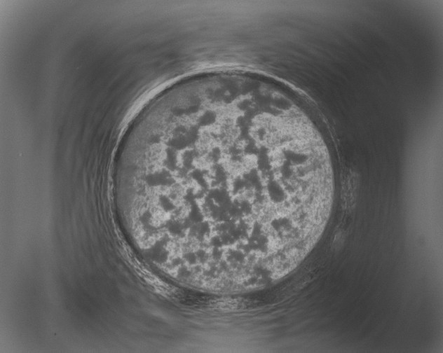 X0000085071279200703261222