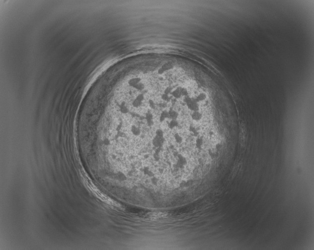 X0000085071283200703261222