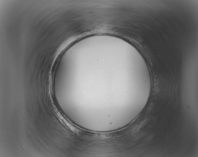 X0000085071286200703261221