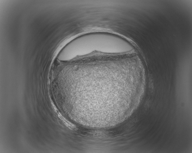 X0000085071287200703261221