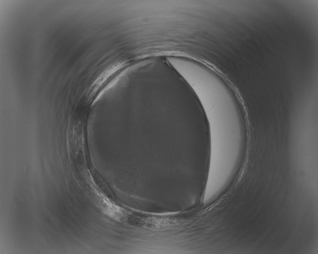 X0000085071289200703261221