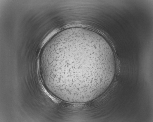 X0000085071290200703261221