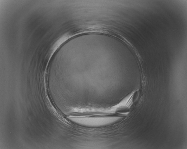 X0000085071291200703261221