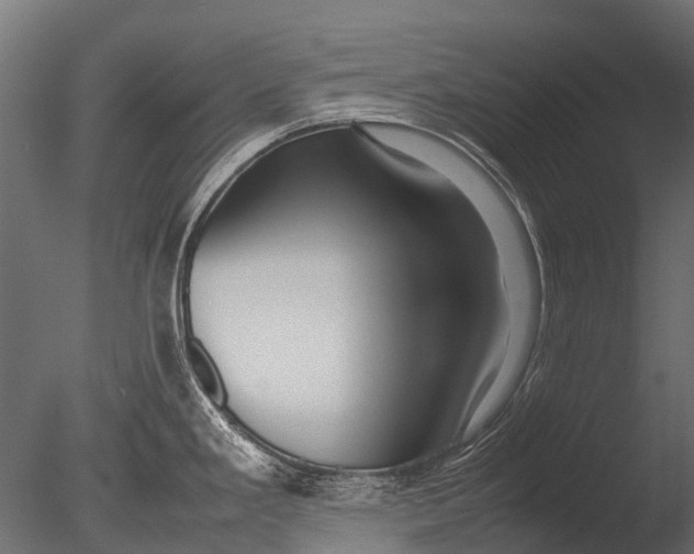 X0000085071293200703261221