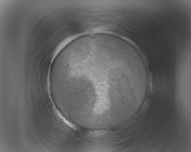 X0000085071294200703261221