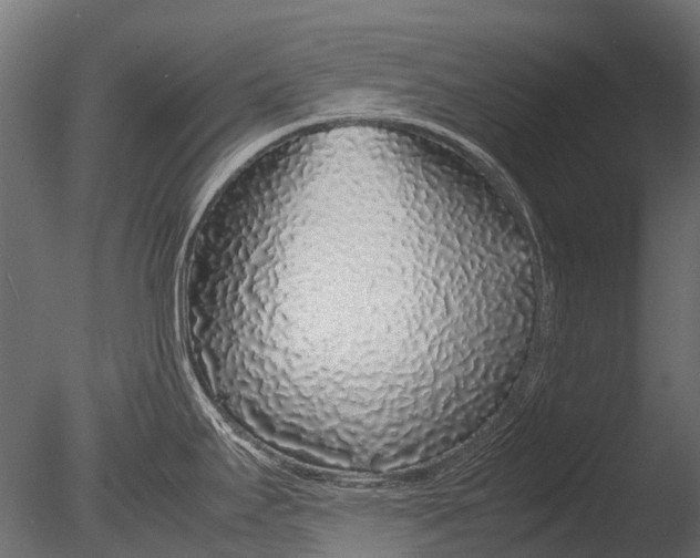 X0000085071295200703261221