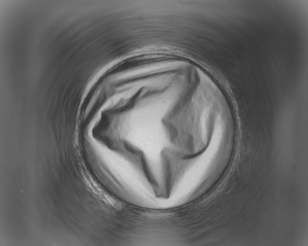 X0000085071296200703261221