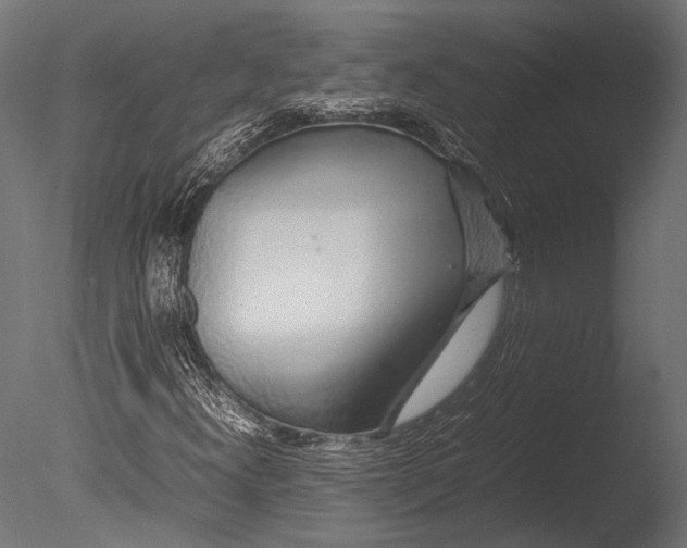 X0000085071300200703261220