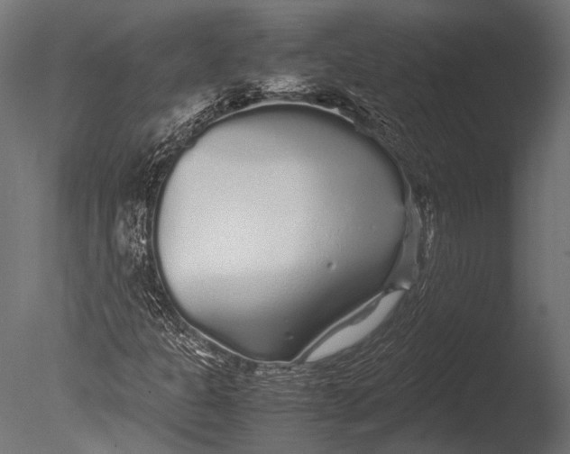 X0000085071301200703261221