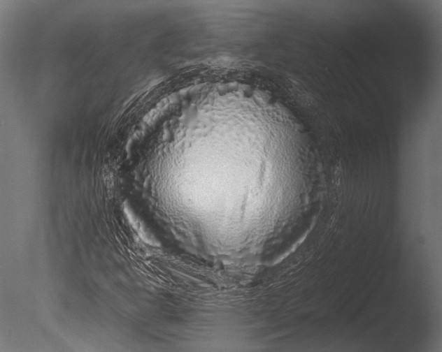 X0000085071302200703261221