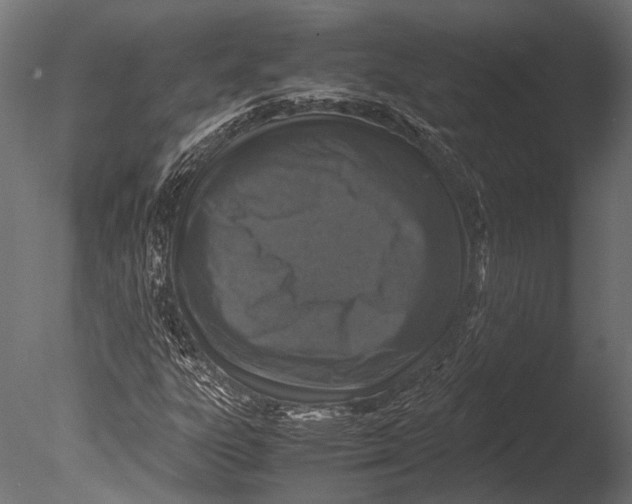 X0000085071303200703261221