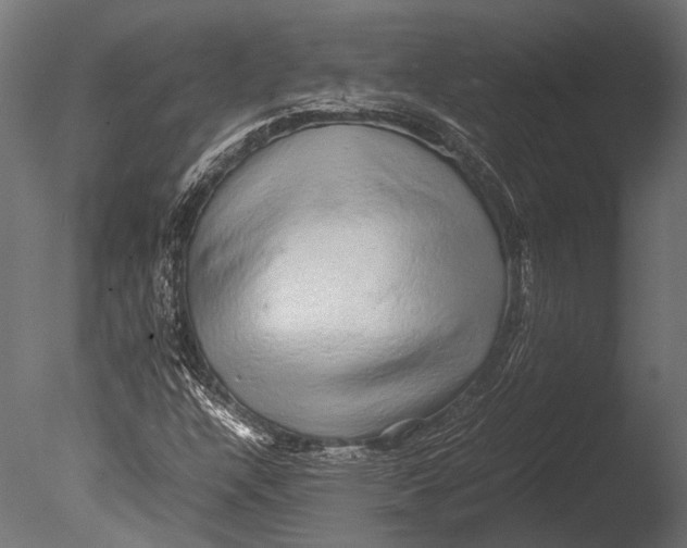 X0000085071304200703261221