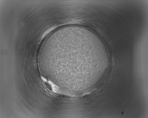 X0000085071308200703261221