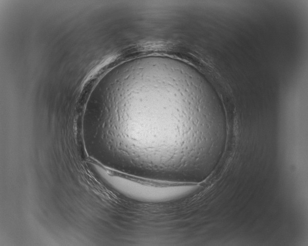 X0000085071309200703261221