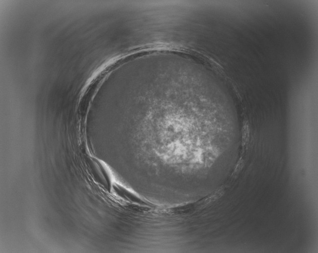 X0000085071310200703261221