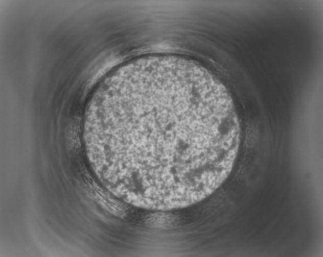 X0000085071314200703261221