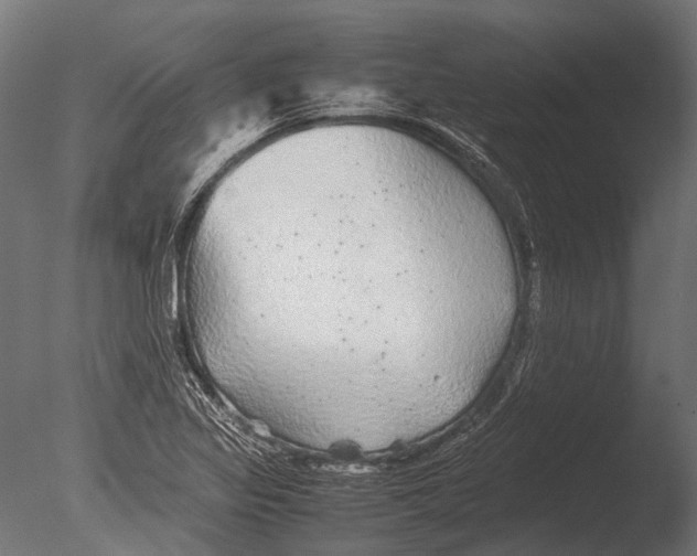 X0000085071317200703261221