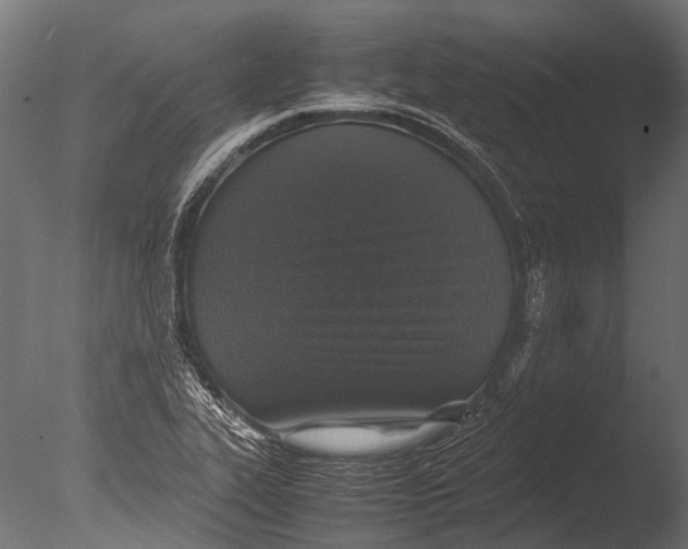 X0000085071319200703261221