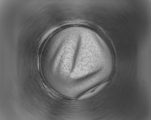 X0000085071320200703261221