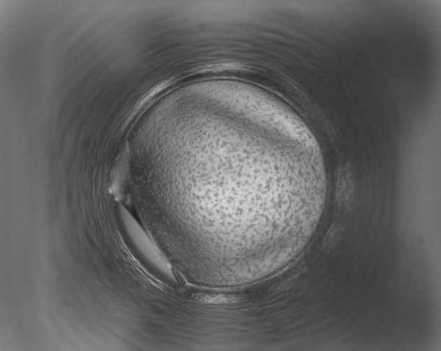 X0000085071321200703261221