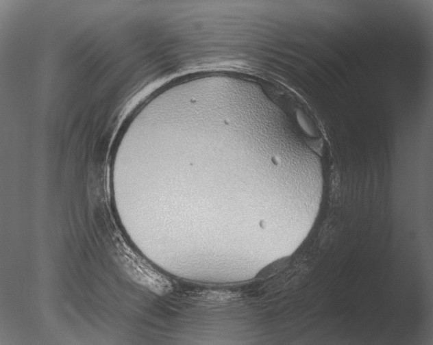 X0000085071324200703261221