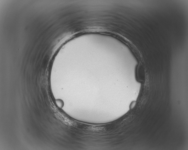 X0000085071325200703261221