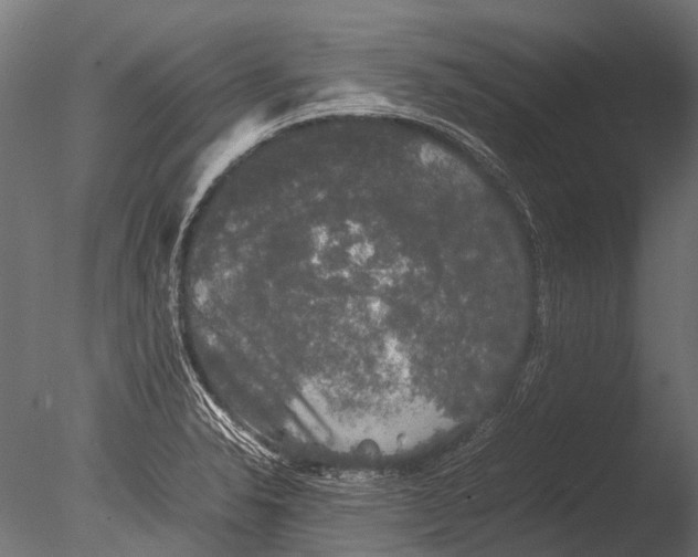 X0000085071326200703261221