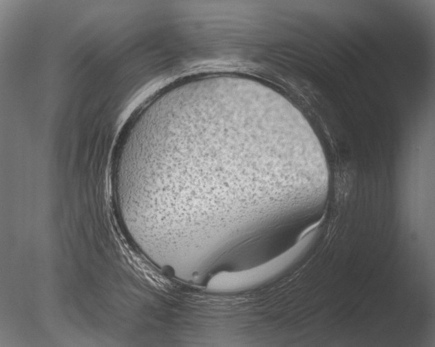 X0000085071328200703261221