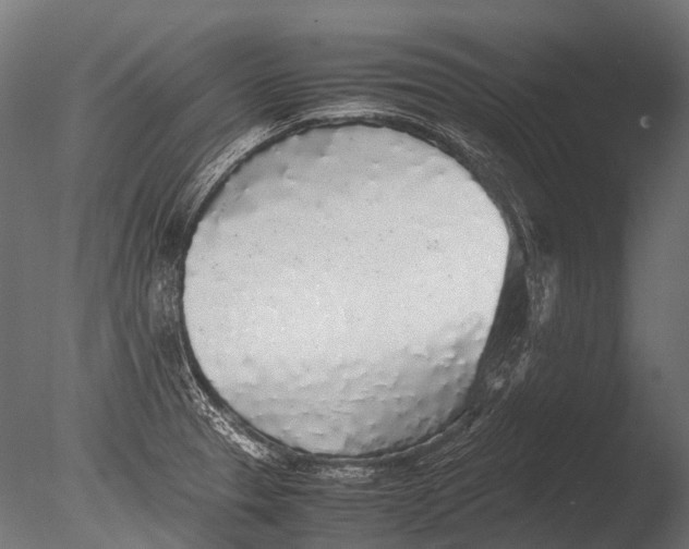 X0000085071329200703261221