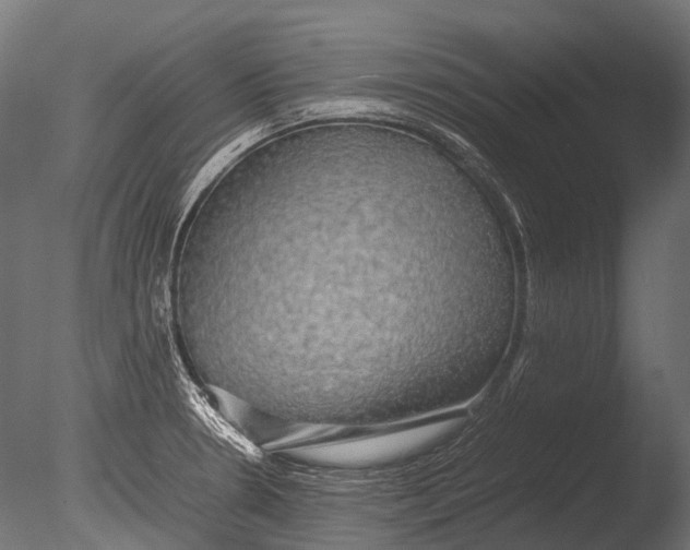 X0000085071330200703261221