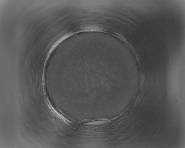 X0000085071331200703261221