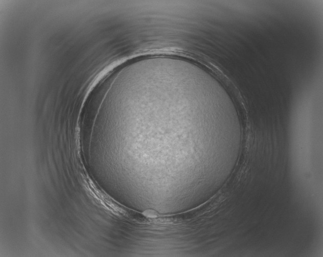 X0000085071332200703261221