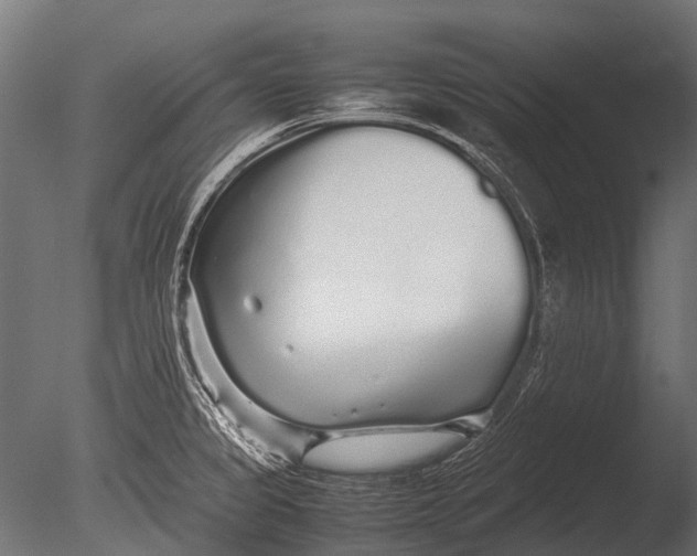 X0000085071333200703261221