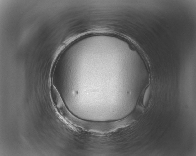 X0000085071335200703261221