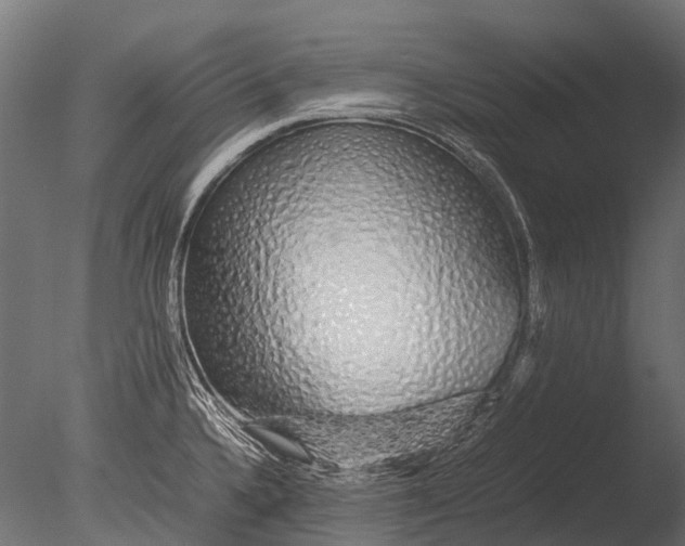 X0000085071336200703261221