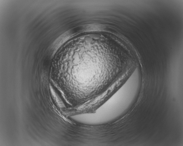 X0000085071337200703261221