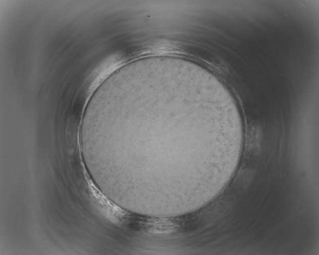 X0000085071338200703261221