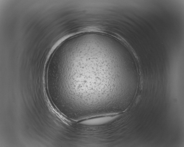 X0000085071339200703261221