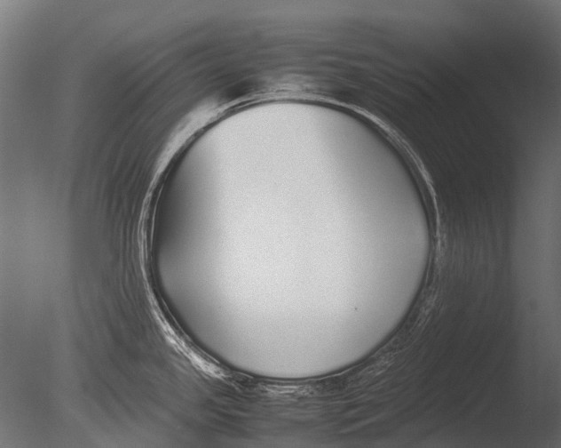 X0000085071341200703261221