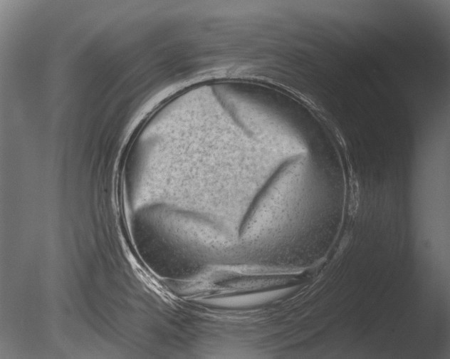 X0000085071342200703261221