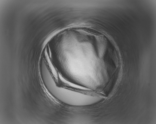 X0000085071344200703261221