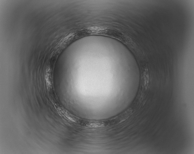 X0000085071346200703261220