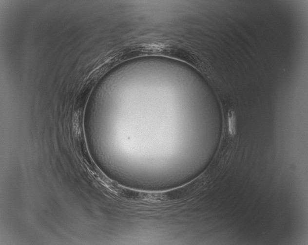 X0000085071347200703261220